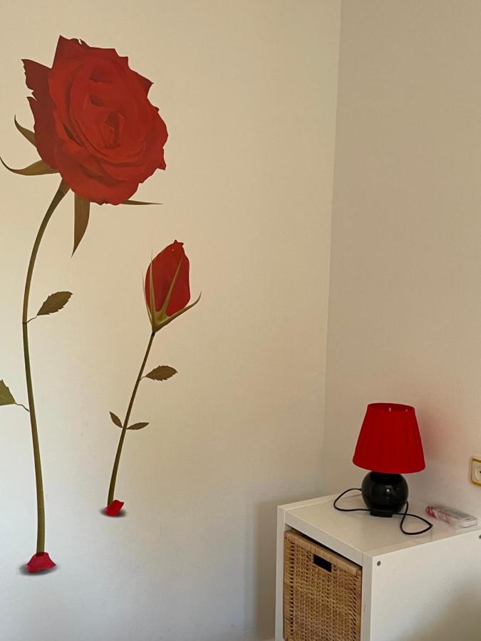 Apartamento Beatriz Cuenca  Exterior photo